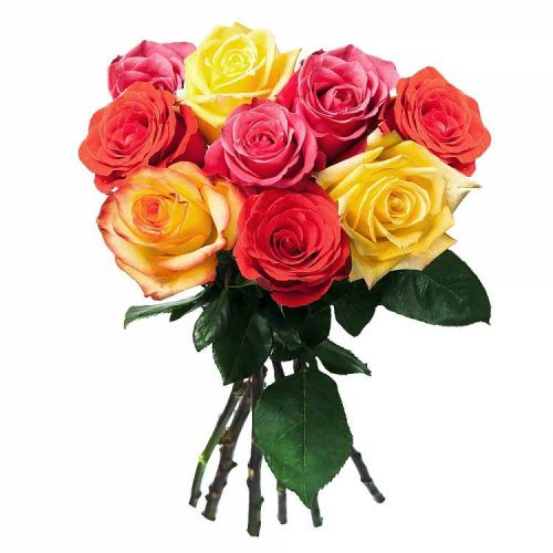 Заказать с доставкой 9 разноцветных роз по Изобильному